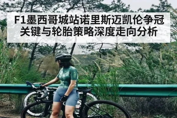 F1墨西哥城站诺里斯迈凯伦争冠关键与轮胎策略深度走向分析